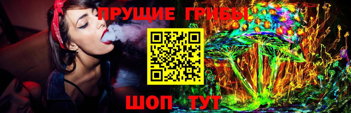 Галлюциногенные грибы Psilocybine cubensis Ленинск-Кузнецкий