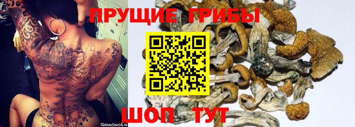 Галлюциногенные грибы Magic Shrooms  Вход с VPN  Ленинск-Кузнецкий  Галлюциногенные грибы Magic Shrooms 